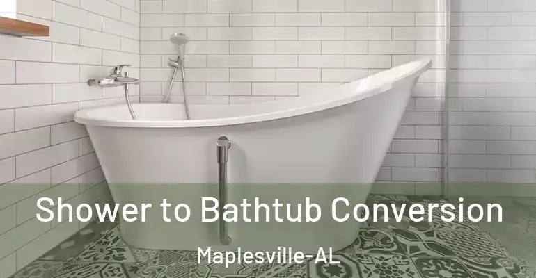 inner Bathroom imggen Shower to Bathtub Conversion Maplesville-AL