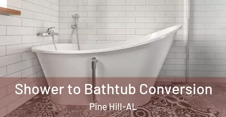 inner Bathroom imggen Shower to Bathtub Conversion Pine Hill-AL