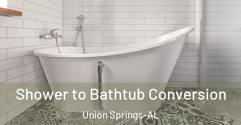 inner Bathroom imggen Shower to Bathtub Conversion Union Springs-AL