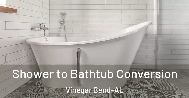 inner Bathroom imggen Shower to Bathtub Conversion Vinegar Bend-AL