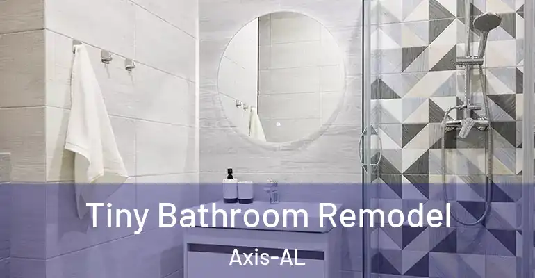 inner Bathroom imggen Tiny Bathroom Remodel Axis-AL