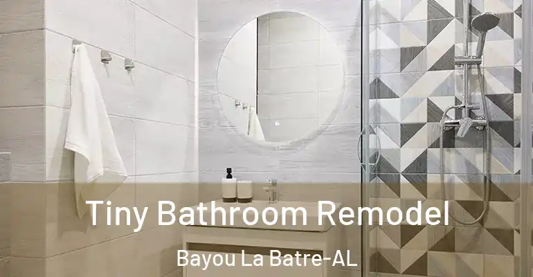 inner Bathroom imggen Tiny Bathroom Remodel Bayou La Batre-AL