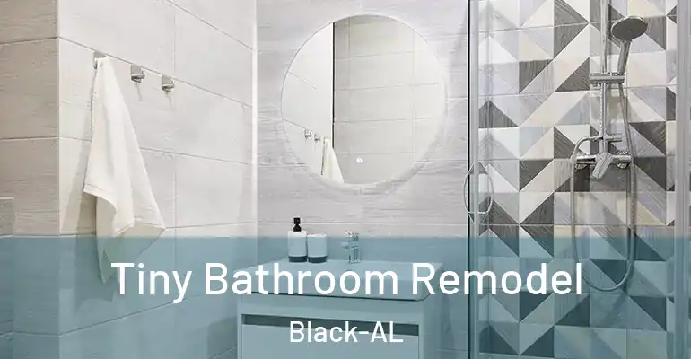 inner Bathroom imggen Tiny Bathroom Remodel Black-AL