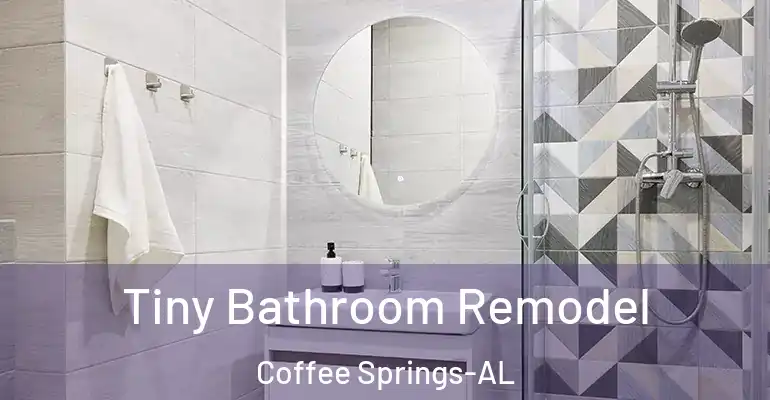 inner Bathroom imggen Tiny Bathroom Remodel Coffee Springs-AL