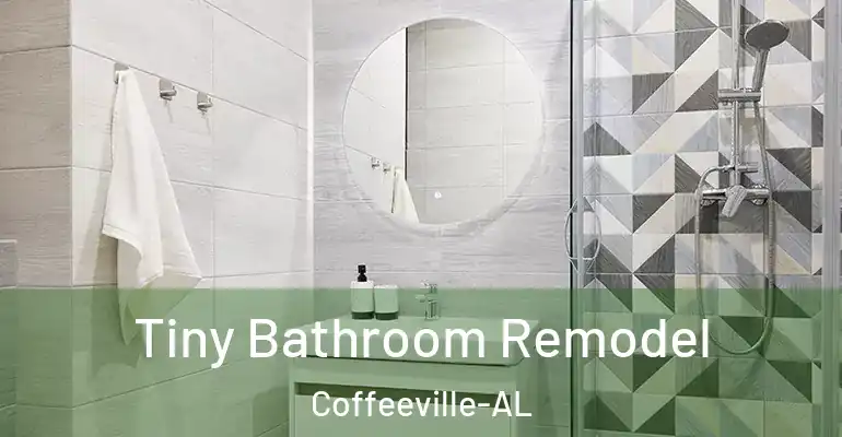 inner Bathroom imggen Tiny Bathroom Remodel Coffeeville-AL