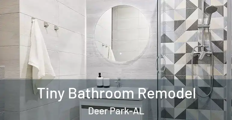 inner Bathroom imggen Tiny Bathroom Remodel Deer Park-AL
