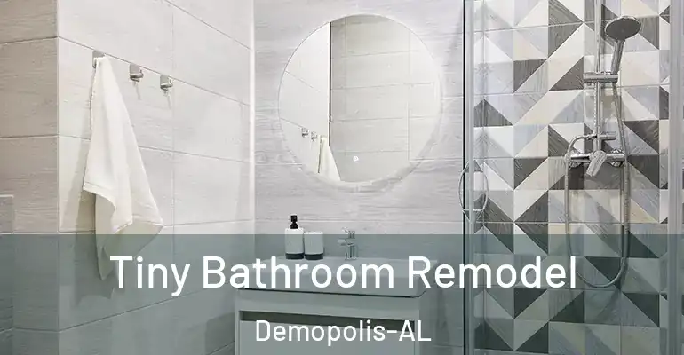 inner Bathroom imggen Tiny Bathroom Remodel Demopolis-AL