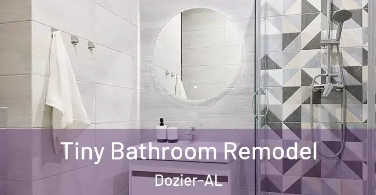 inner Bathroom imggen Tiny Bathroom Remodel Dozier-AL