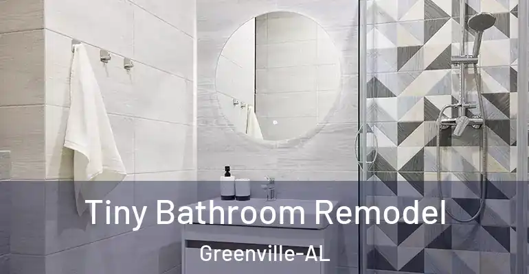 inner Bathroom imggen Tiny Bathroom Remodel Greenville-AL