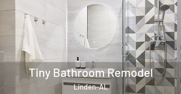 inner Bathroom imggen Tiny Bathroom Remodel Linden-AL
