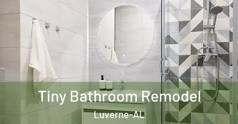 inner Bathroom imggen Tiny Bathroom Remodel Luverne-AL