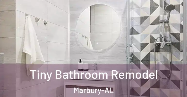 inner Bathroom imggen Tiny Bathroom Remodel Marbury-AL