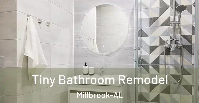 inner Bathroom imggen Tiny Bathroom Remodel Millbrook-AL