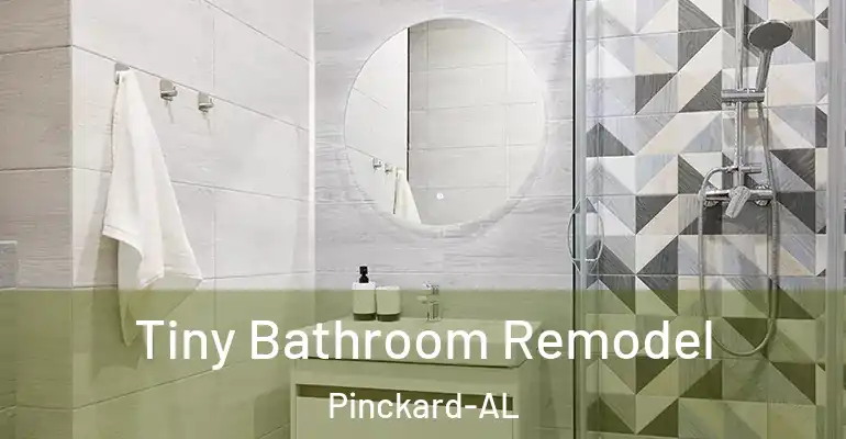 inner Bathroom imggen Tiny Bathroom Remodel Pinckard-AL
