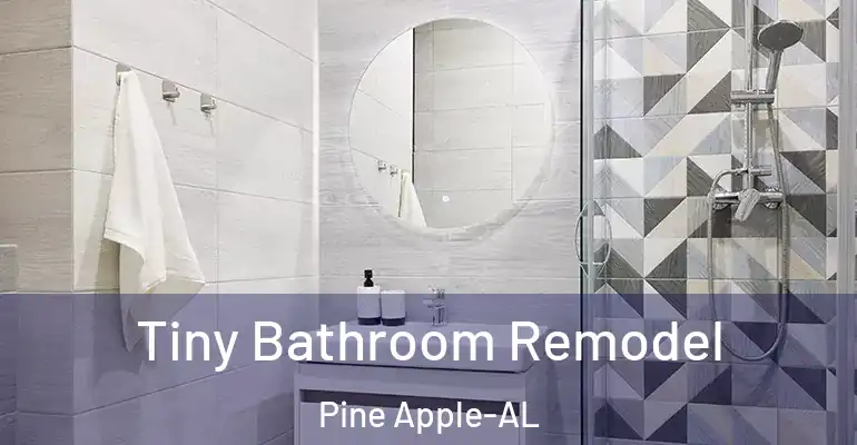inner Bathroom imggen Tiny Bathroom Remodel Pine Apple-AL