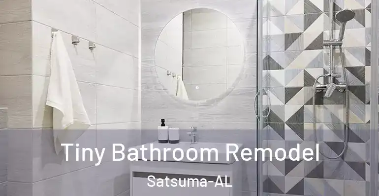 inner Bathroom imggen Tiny Bathroom Remodel Satsuma-AL