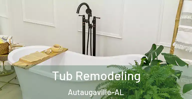 inner Bathroom imggen Tub Remodeling Autaugaville-AL