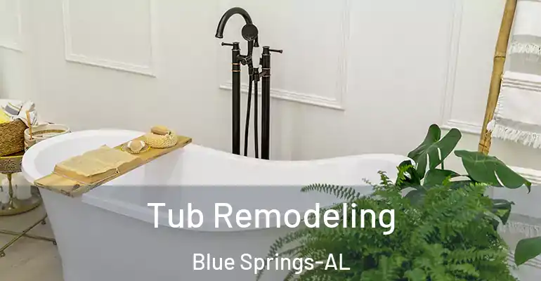 inner Bathroom imggen Tub Remodeling Blue Springs-AL