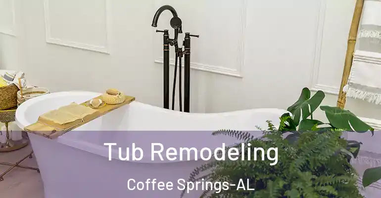 inner Bathroom imggen Tub Remodeling Coffee Springs-AL