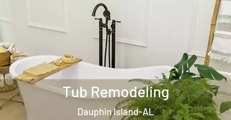 inner Bathroom imggen Tub Remodeling Dauphin Island-AL