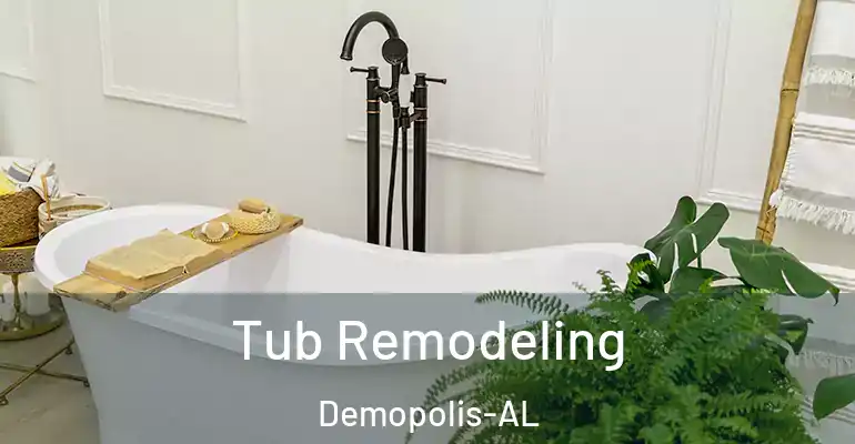 inner Bathroom imggen Tub Remodeling Demopolis-AL