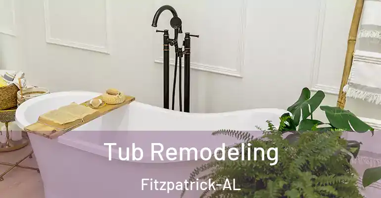 inner Bathroom imggen Tub Remodeling Fitzpatrick-AL