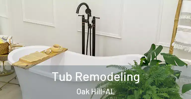 inner Bathroom imggen Tub Remodeling Oak Hill-AL