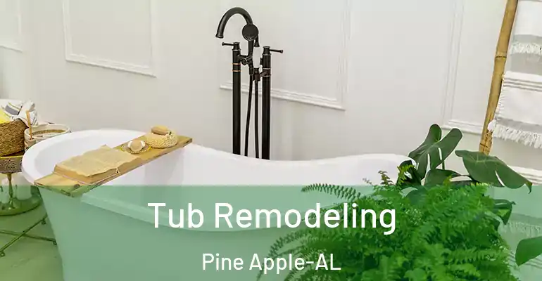 inner Bathroom imggen Tub Remodeling Pine Apple-AL