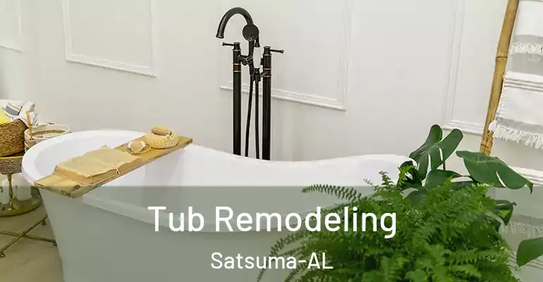 inner Bathroom imggen Tub Remodeling Satsuma-AL