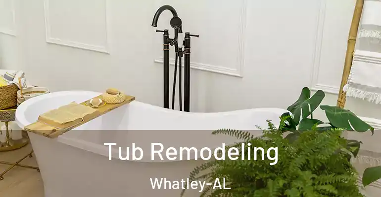 inner Bathroom imggen Tub Remodeling Whatley-AL