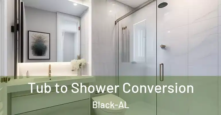 inner Bathroom imggen Tub to Shower Conversion Black-AL