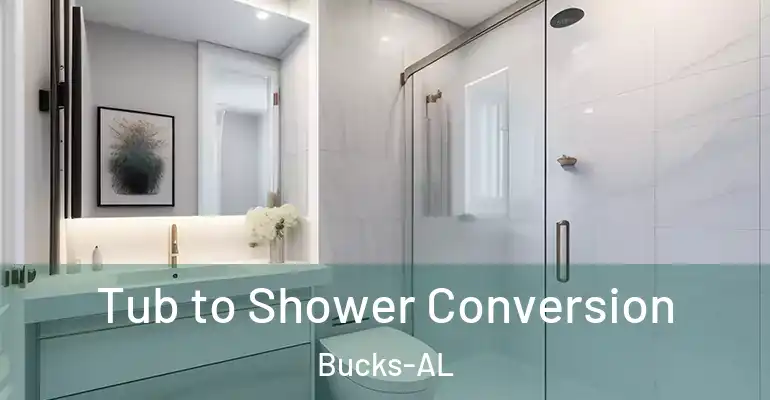 inner Bathroom imggen Tub to Shower Conversion Bucks-AL