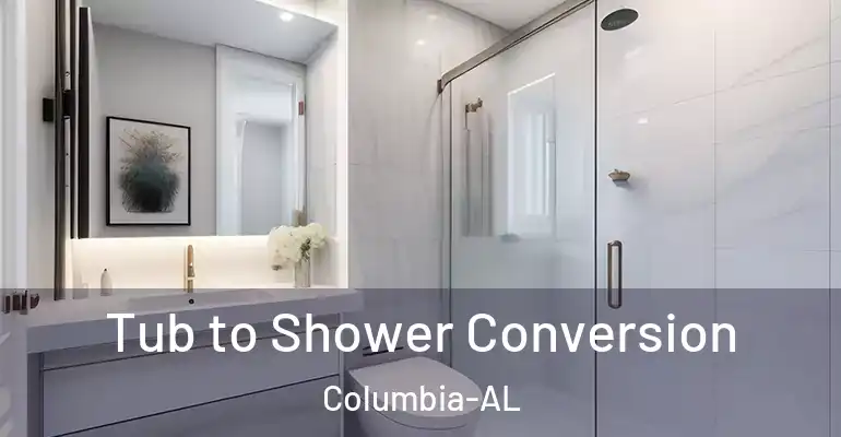 inner Bathroom imggen Tub to Shower Conversion Columbia-AL