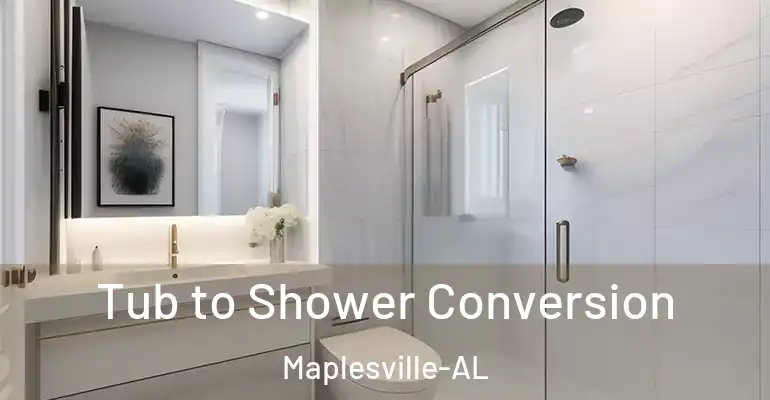 inner Bathroom imggen Tub to Shower Conversion Maplesville-AL