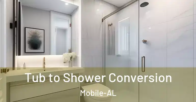 inner Bathroom imggen Tub to Shower Conversion Mobile-AL
