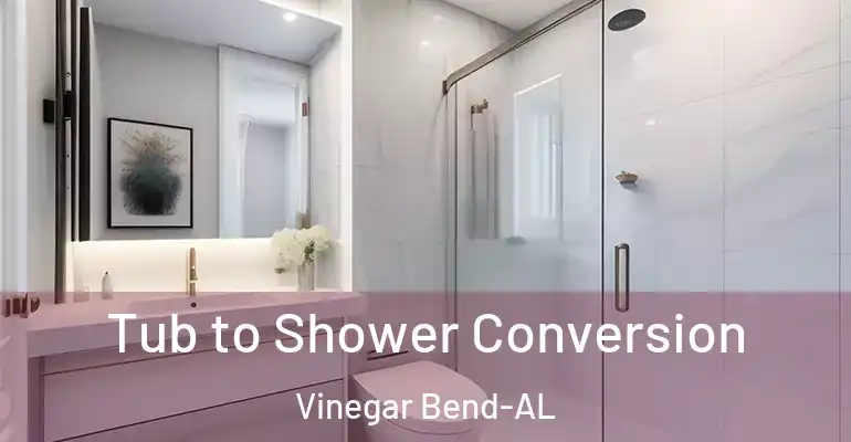 inner Bathroom imggen Tub to Shower Conversion Vinegar Bend-AL