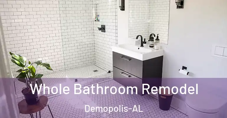 inner Bathroom imggen Whole Bathroom Remodel Demopolis-AL
