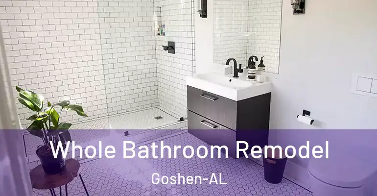 inner Bathroom imggen Whole Bathroom Remodel Goshen-AL