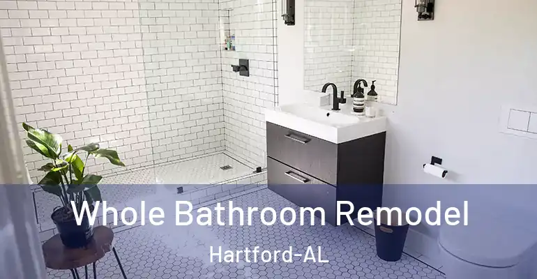 inner Bathroom imggen Whole Bathroom Remodel Hartford-AL