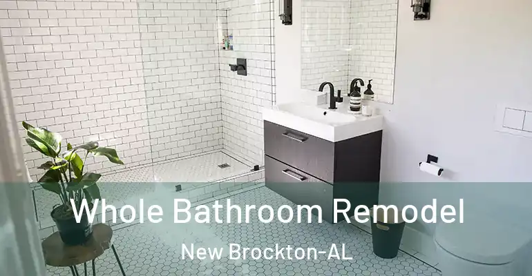 inner Bathroom imggen Whole Bathroom Remodel New Brockton-AL