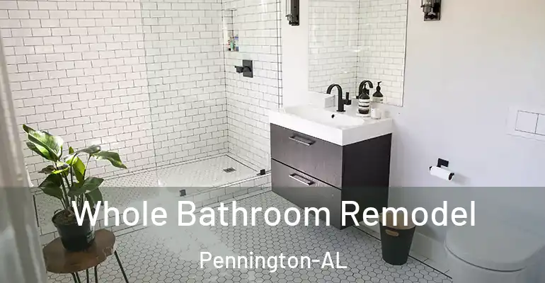inner Bathroom imggen Whole Bathroom Remodel Pennington-AL