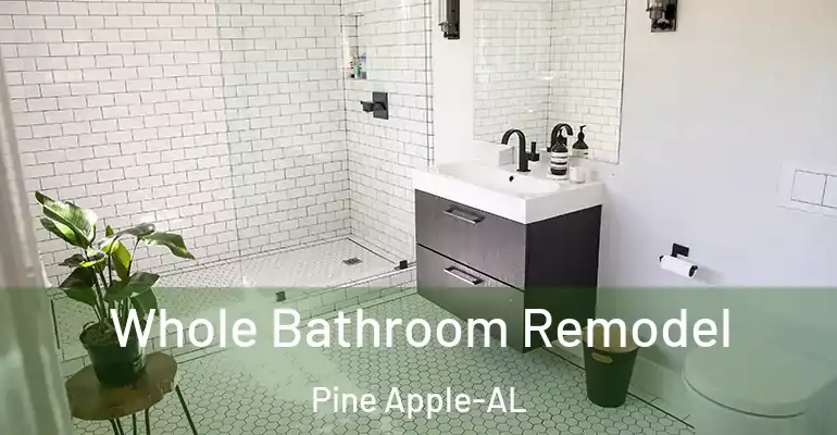inner Bathroom imggen Whole Bathroom Remodel Pine Apple-AL